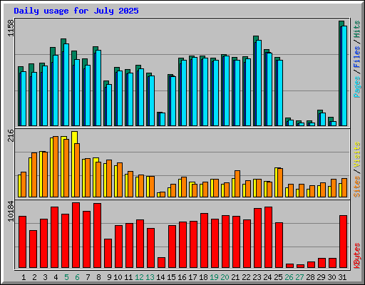 Daily usage for July 2025