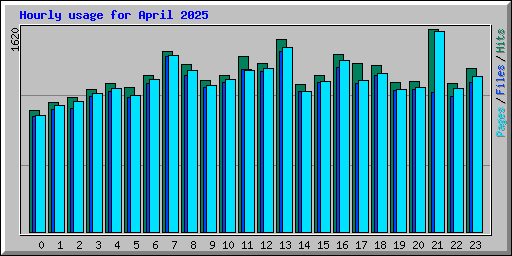 Hourly usage for April 2025