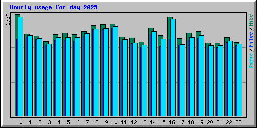 Hourly usage for May 2025