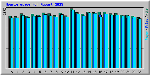 Hourly usage for August 2025