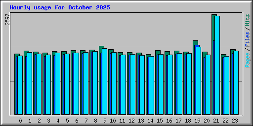 Hourly usage for October 2025