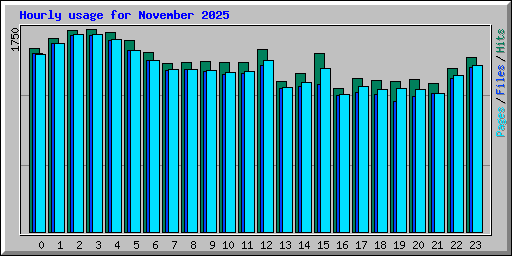 Hourly usage for November 2025