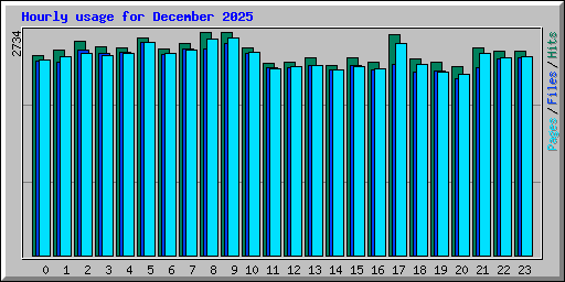 Hourly usage for December 2025