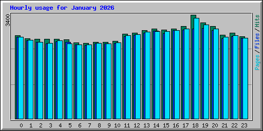 Hourly usage for January 2026